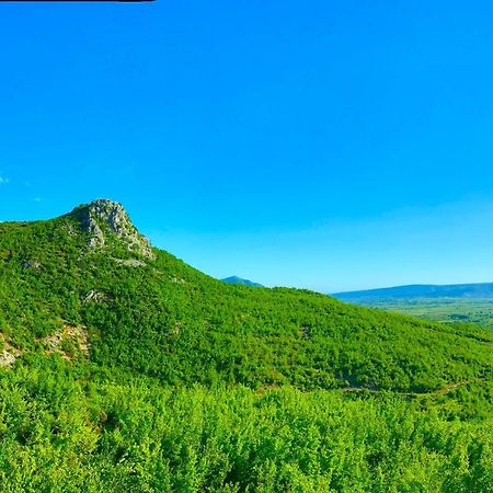Hani I Leks Agroturizem Lezhe Bagian luar foto