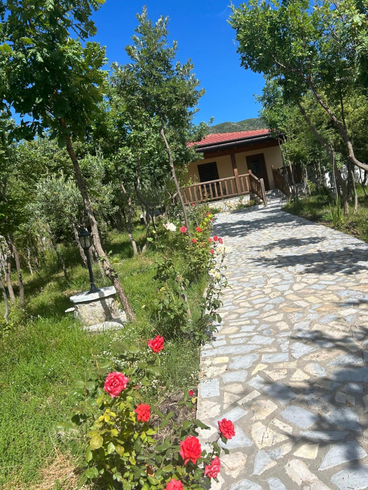 Hani I Leks Agroturizem Lezhe Bagian luar foto