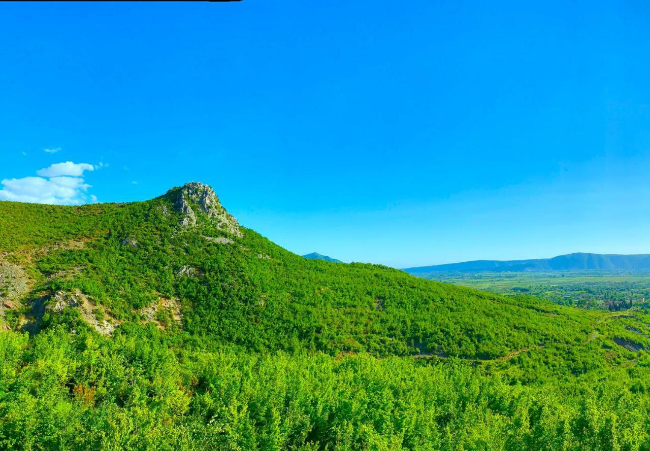 Hani I Leks Agroturizem Lezhe Bagian luar foto